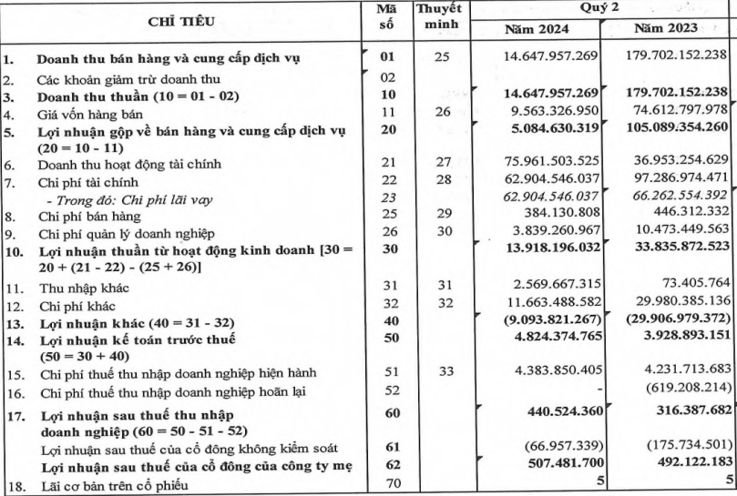 dau-tu-nam-bay-bay-kinh-doanh-ra-sao-khi-doanh-thu-va-loi-nhuan-giam-manh-trong-quy-ii2024-20240715141954.png