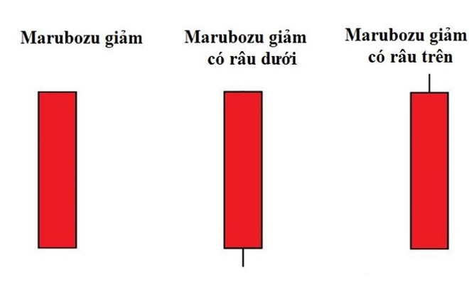 nen-marubozu-giam-gia-bearish-marubozu.jpg