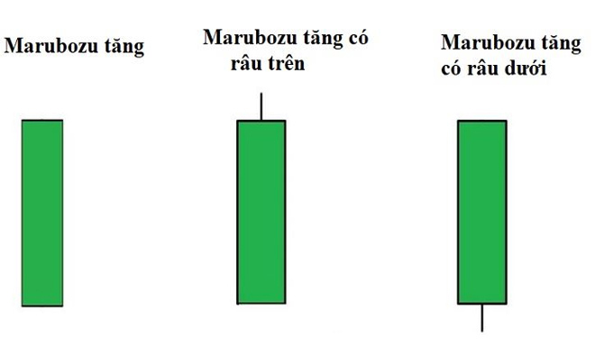 nen-marubozu-tang-gia-bullish-marubozu.jpg