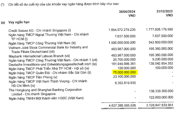 Khoản vay dài hạn của Novaland tại MBBank tính đến ngày 30/6/2024 (Nguồn: BCTC Novaland)